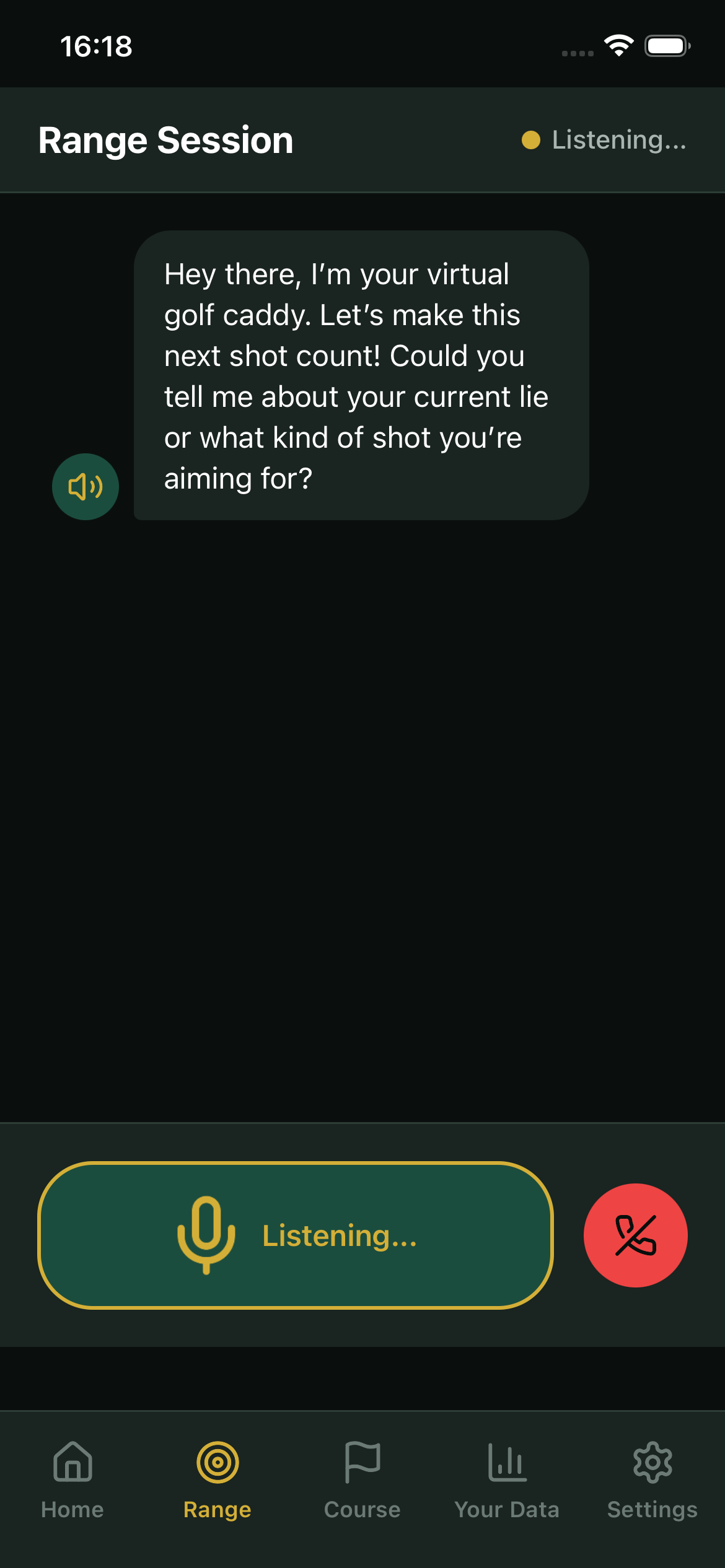 VoiceCaddy player profile